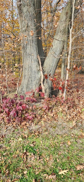 Balch Madison OH 44057