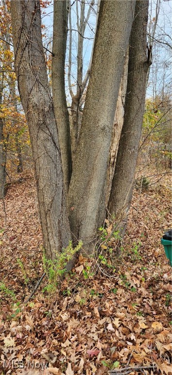 Balch Madison OH 44057