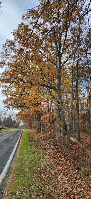 Balch Madison OH 44057