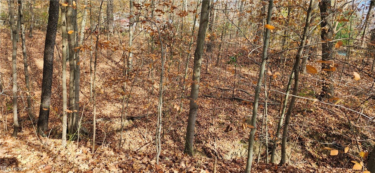 Balch Madison OH 44057