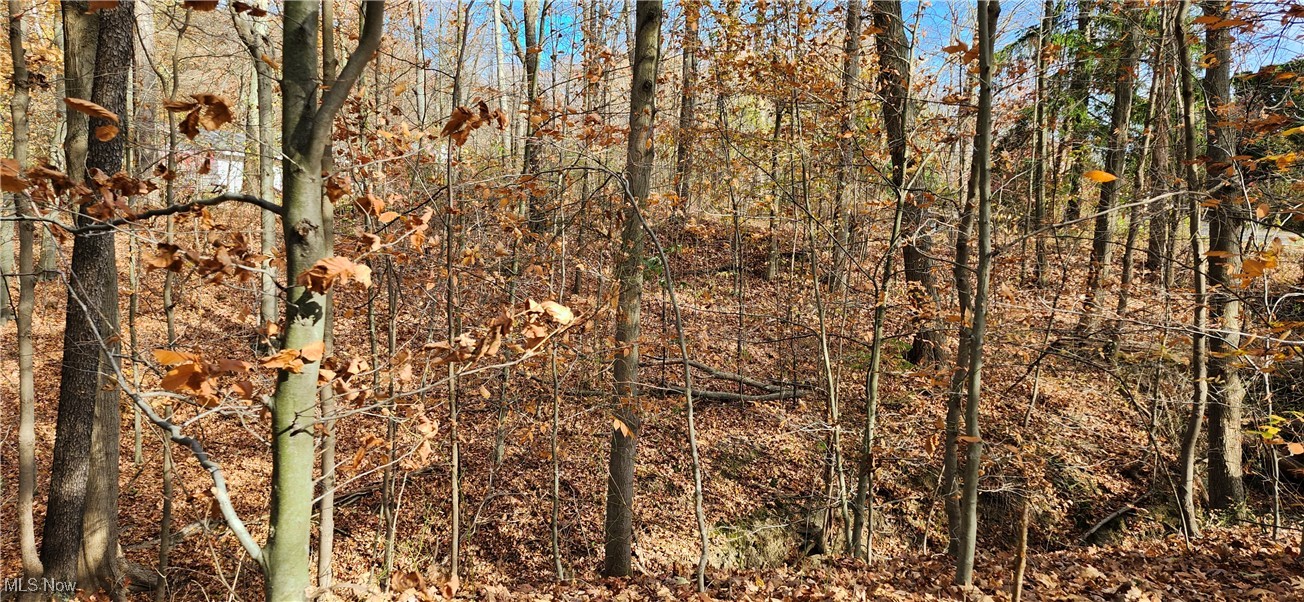 Balch Madison OH 44057