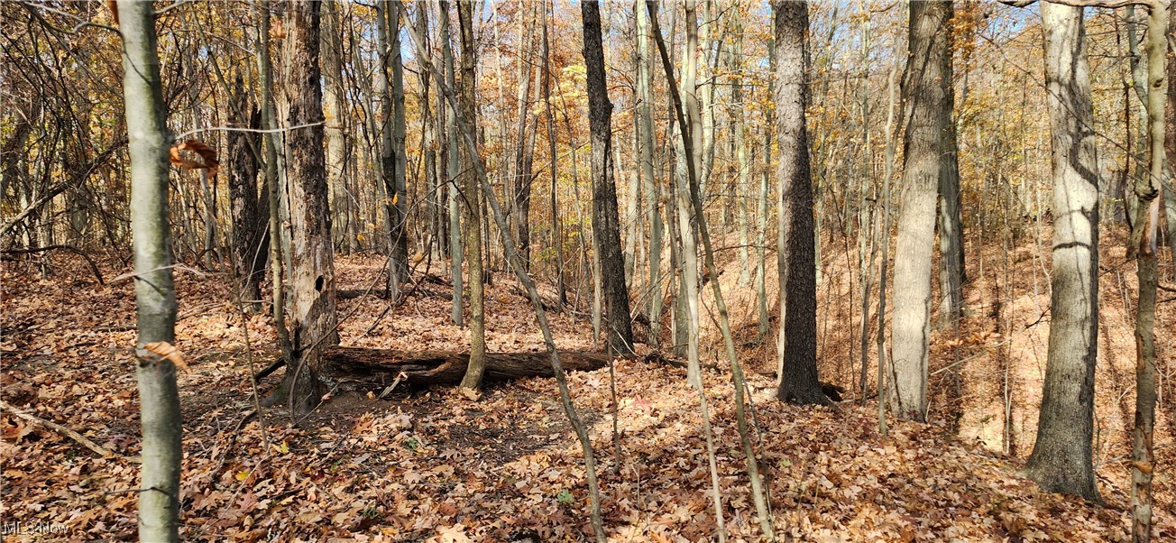 Balch Madison OH 44057