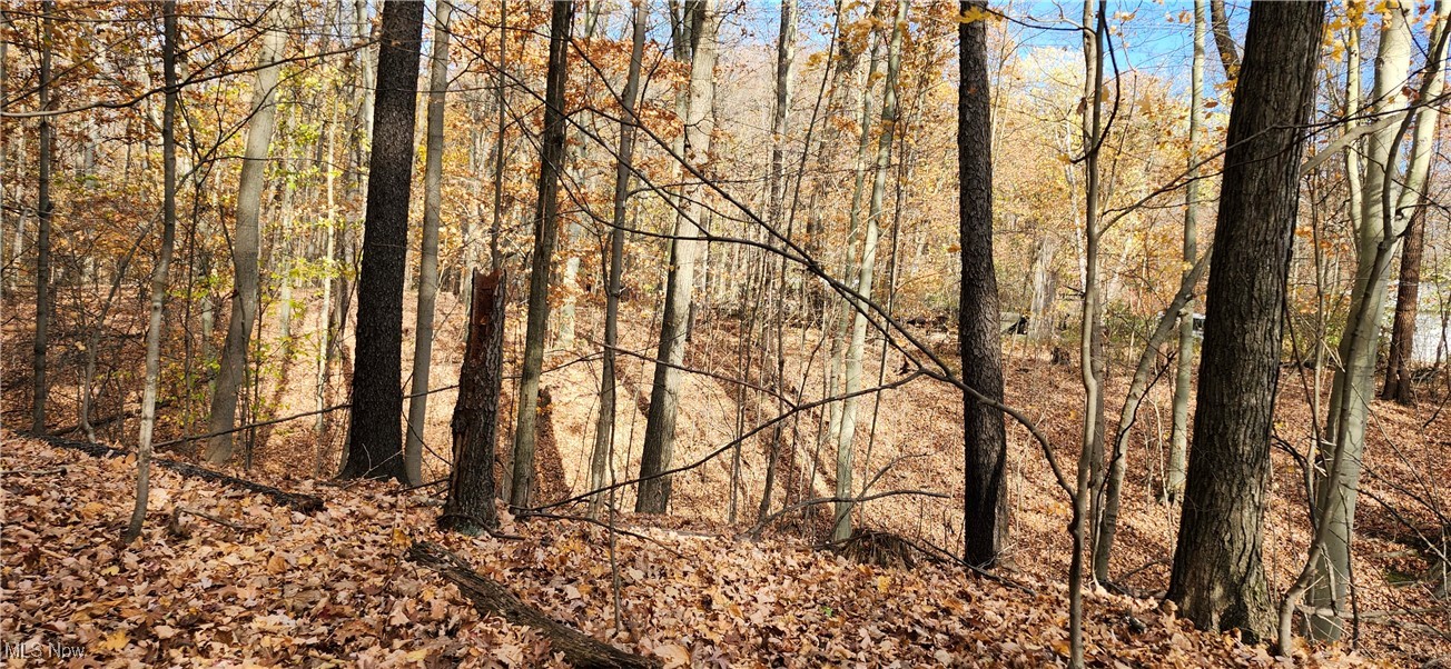 Balch Madison OH 44057