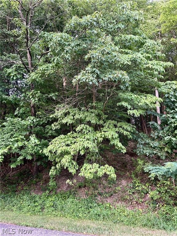 91 Oneida Trail Malvern OH 44644