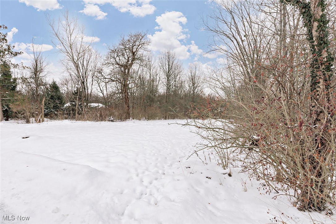 16788 Geneva Street Chagrin Falls OH 44023