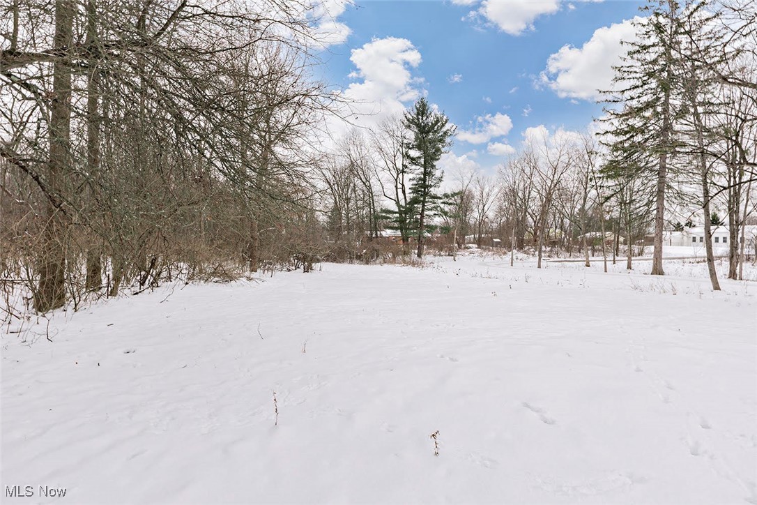 16788 Geneva Street Chagrin Falls OH 44023