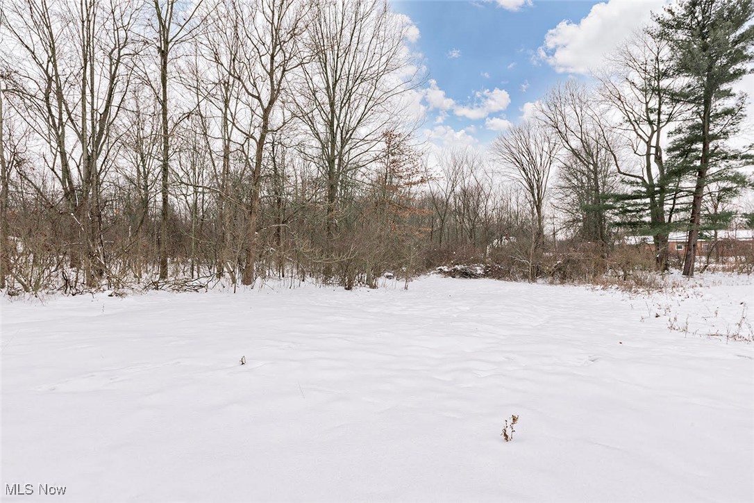 16788 Geneva Street Chagrin Falls OH 44023