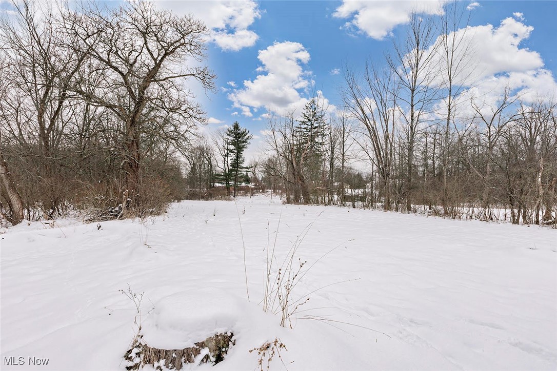 16788 Geneva Street Chagrin Falls OH 44023