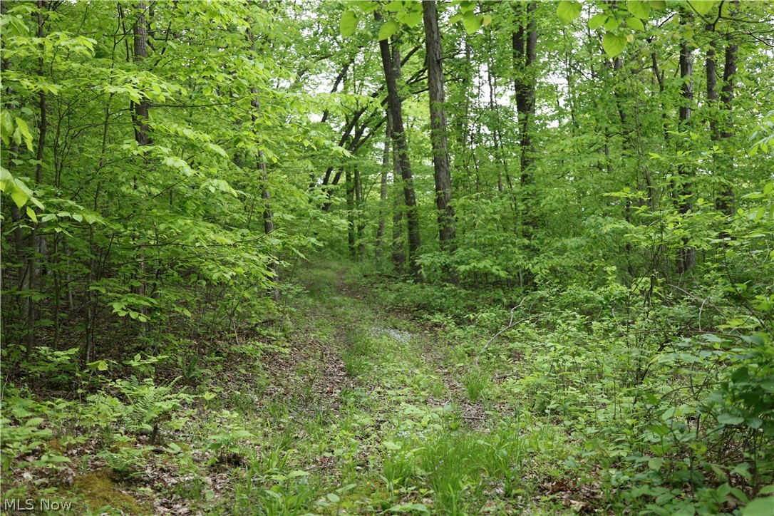 61342 High Hill Road Cambridge OH 43725