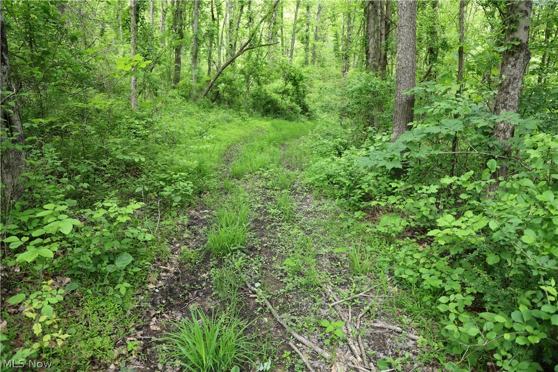 61342 High Hill Road Cambridge OH 43725