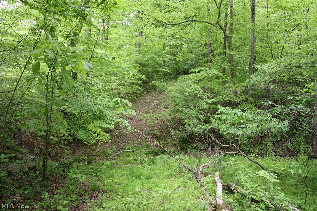 61342 High Hill Road Cambridge OH 43725