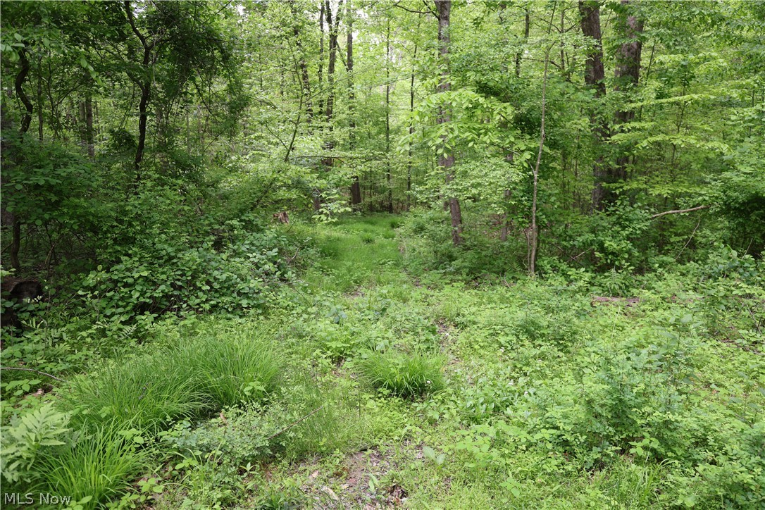 61342 High Hill Road Cambridge OH 43725