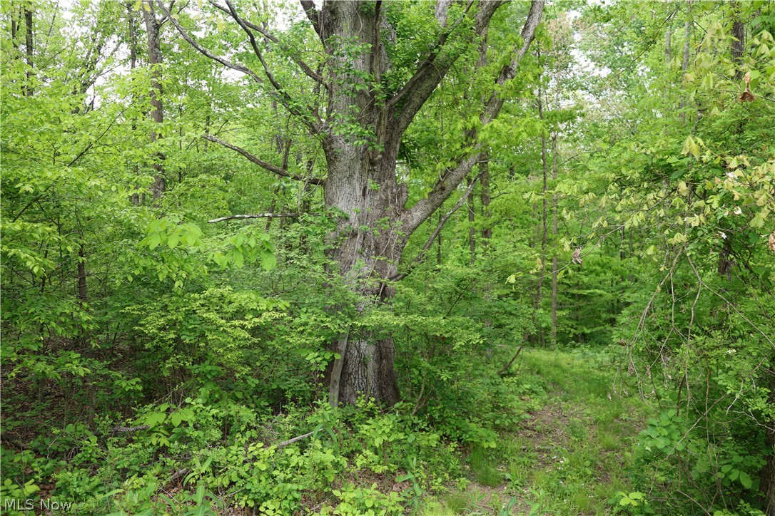 61342 High Hill Road Cambridge OH 43725