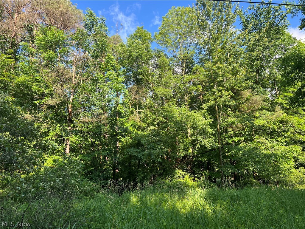 State Line Road Conneaut OH 44082