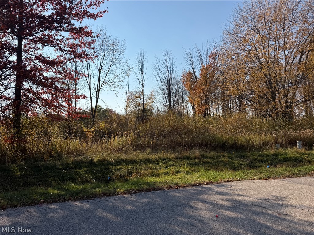 Florence Avenue Ashtabula OH 44004