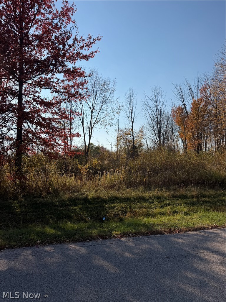 Florence Avenue Ashtabula OH 44004