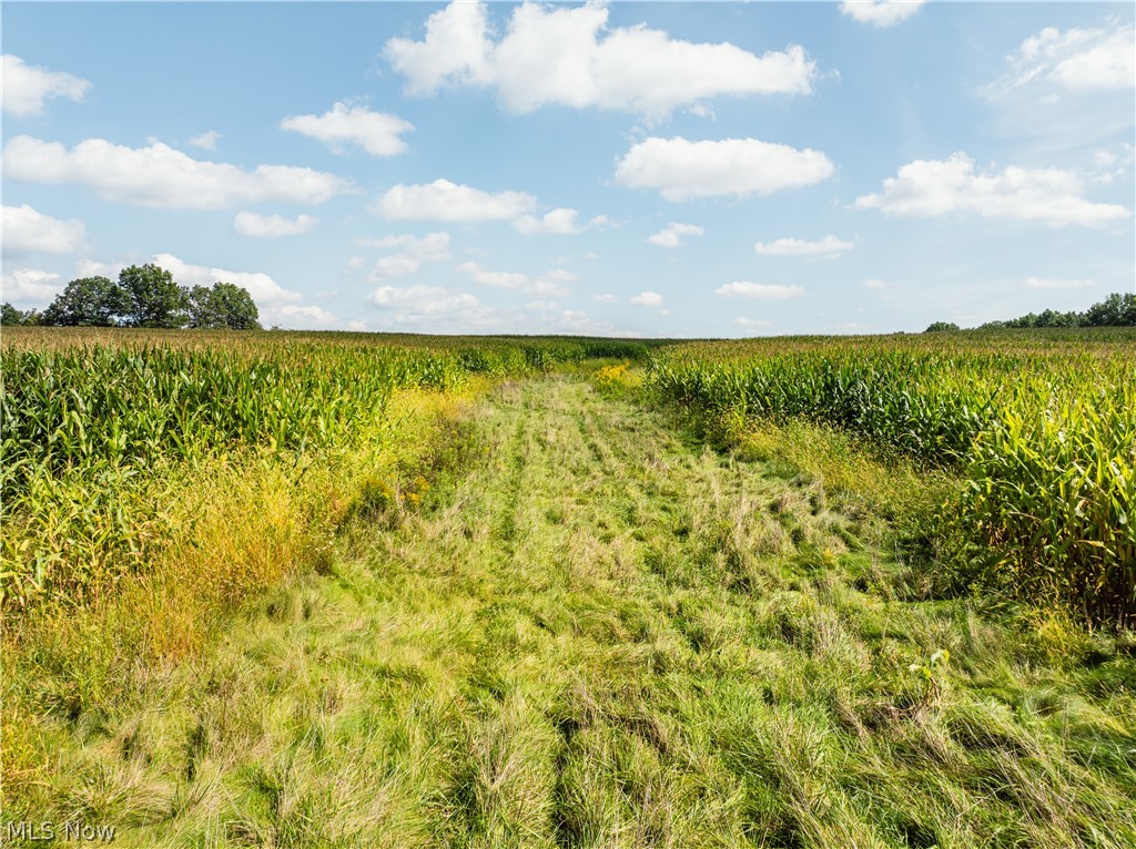 12472 Gearhart Road Burbank OH 44214