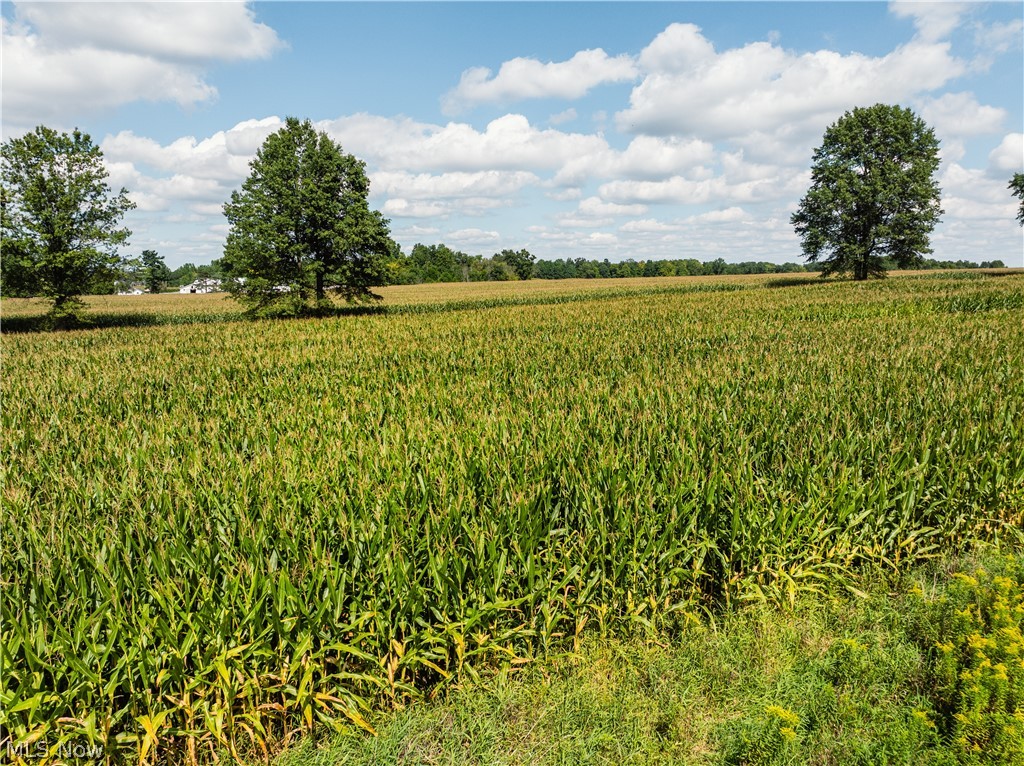 12472 Gearhart Road Burbank OH 44214