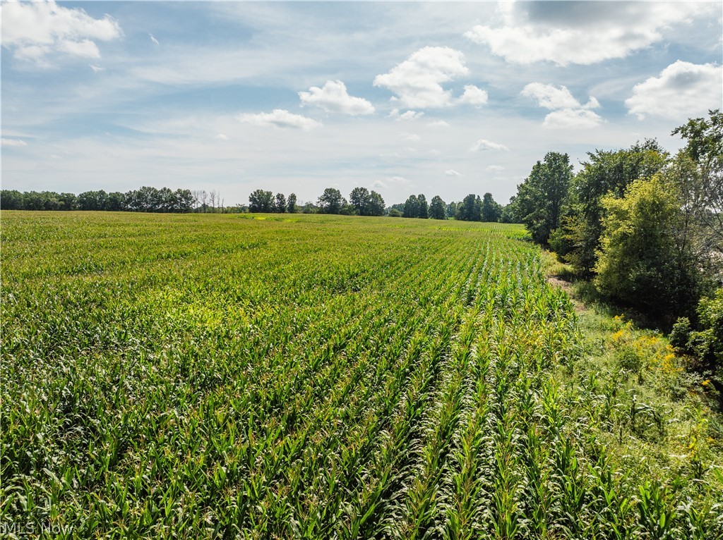 12472 Gearhart Road Burbank OH 44214