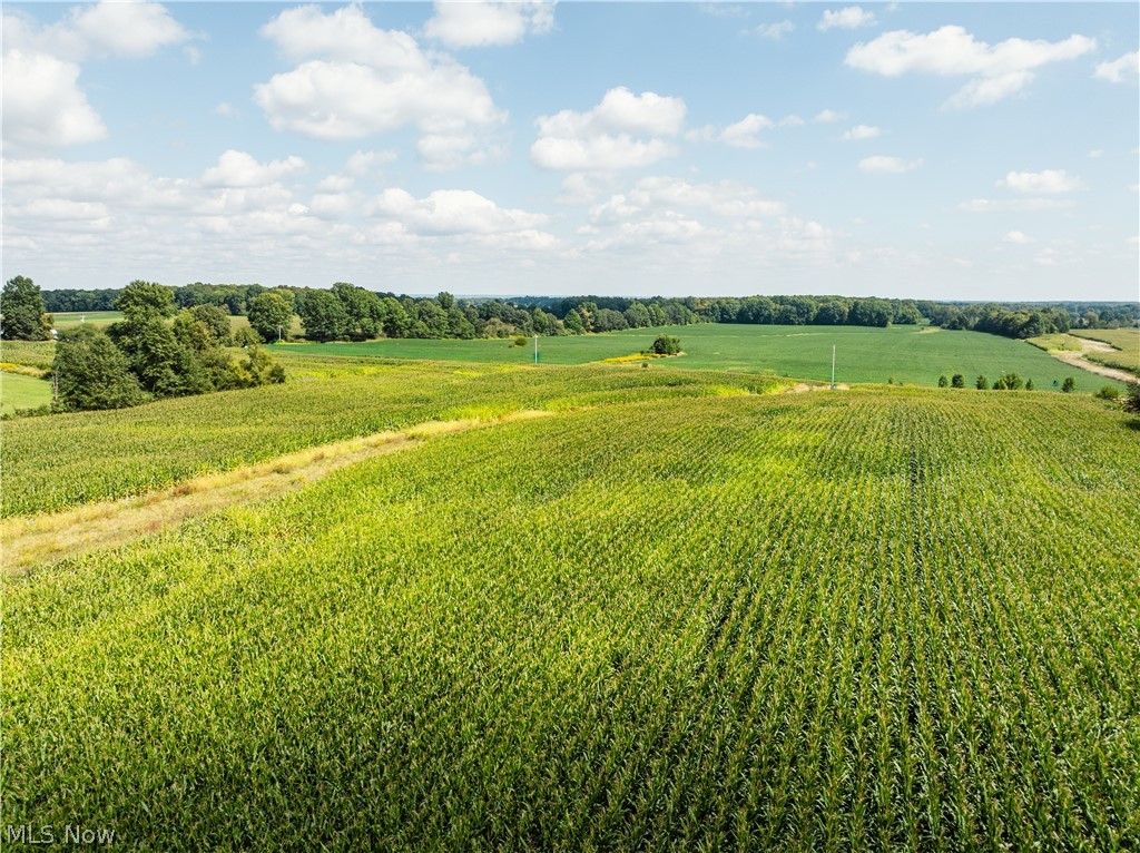 12472 Gearhart Road Burbank OH 44214
