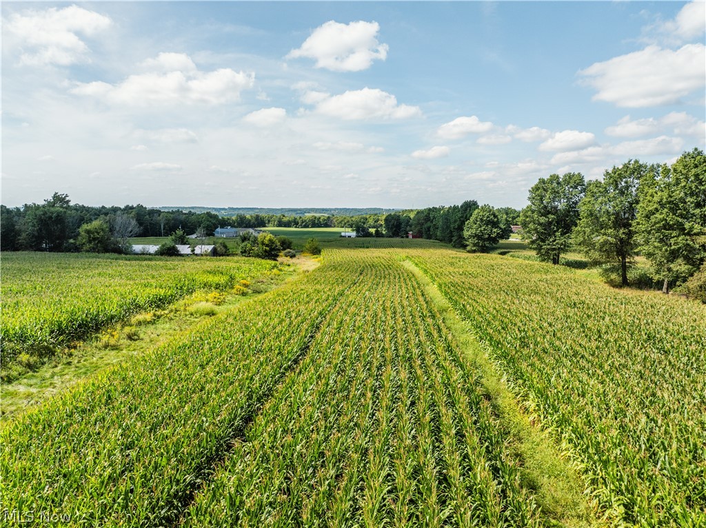 12472 Gearhart Road Burbank OH 44214