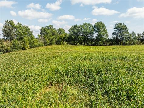 12472 Gearhart Road Burbank OH 44214
