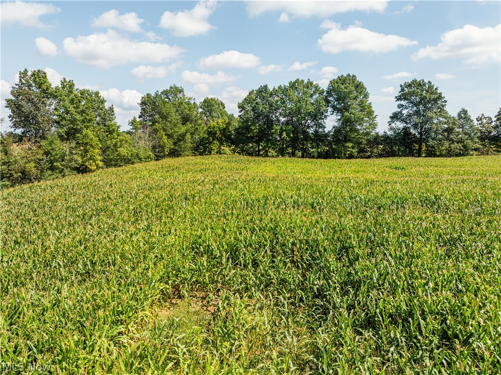 12472 Gearhart Road Burbank OH 44214