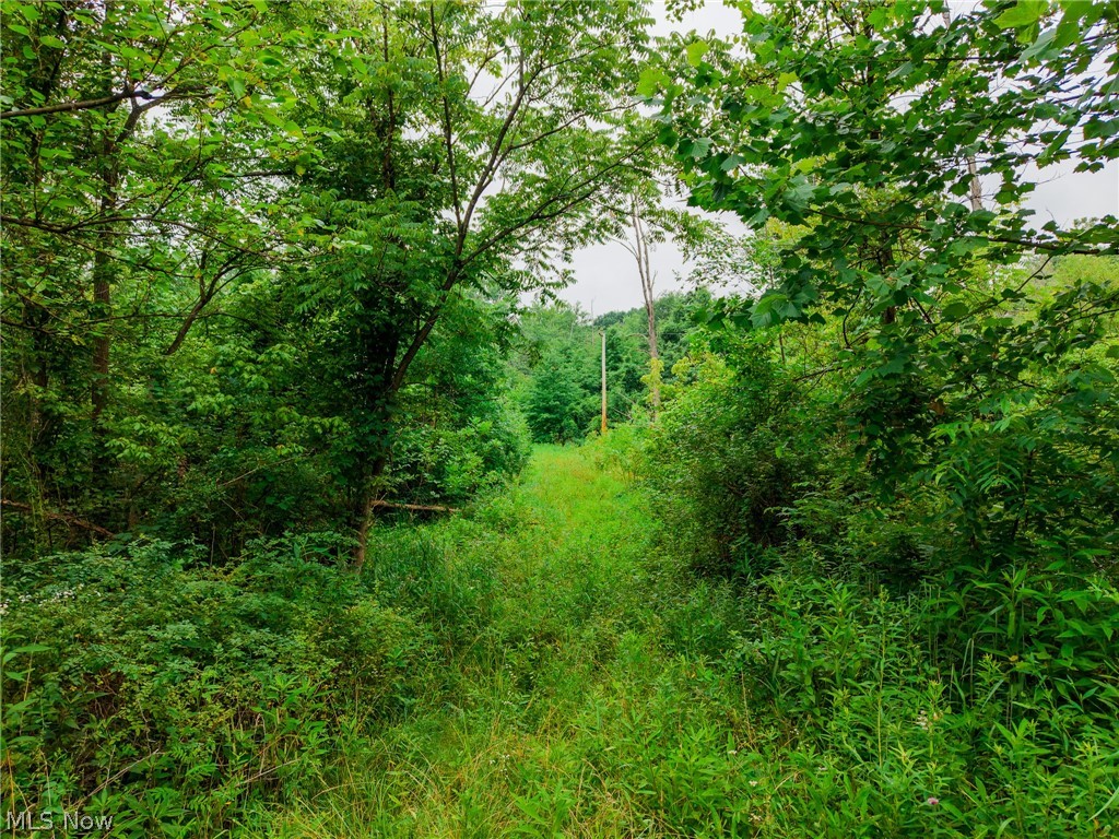 Byesville Road Cambridge OH 43725