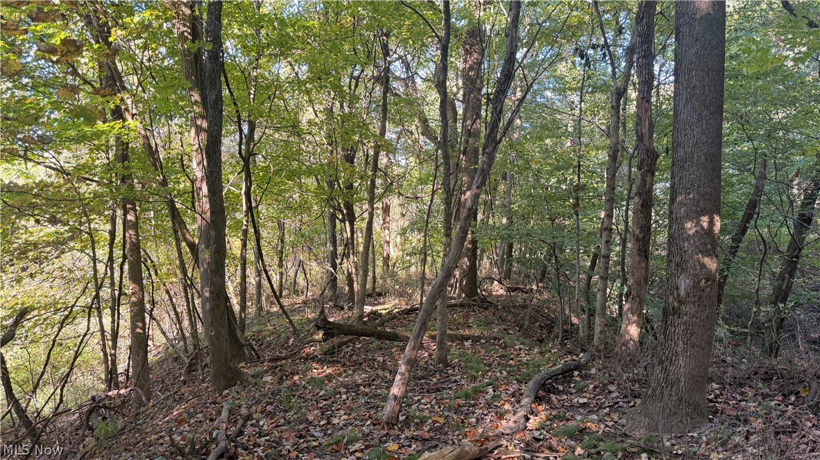 Battlesburg Street SE East Sparta OH 44626