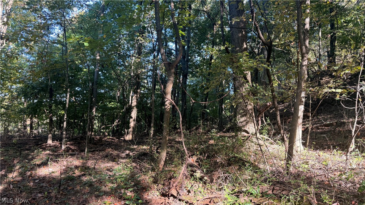 Battlesburg Street SE East Sparta OH 44626