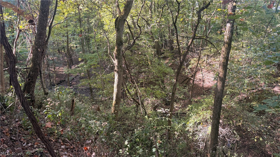 Battlesburg Street SE East Sparta OH 44626