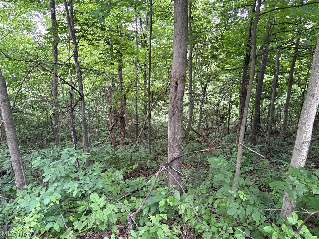 38532 Township Road 13 Sardis OH 43946