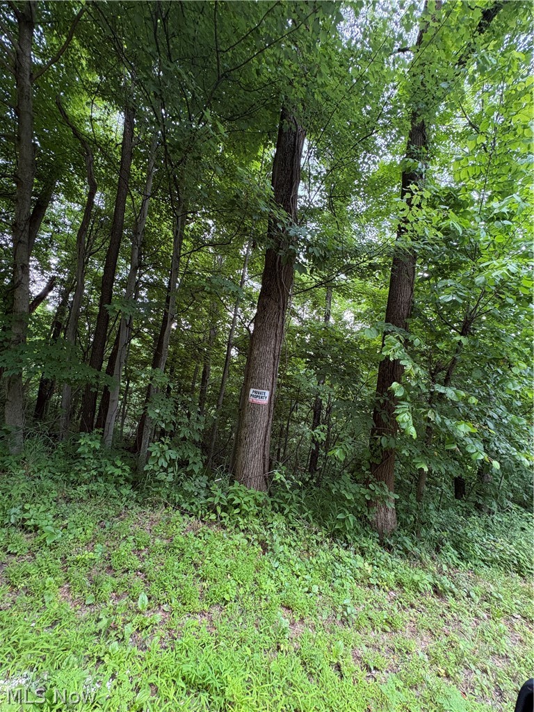 38532 Township Road 13 Sardis OH 43946