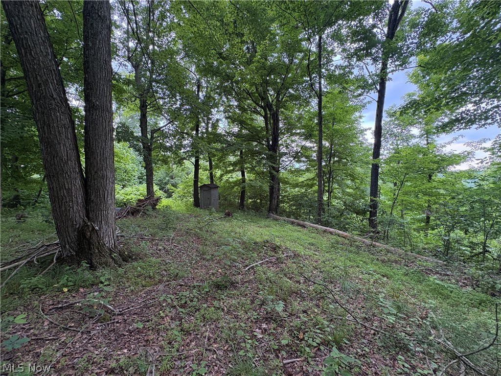 38532 Township Road 13 Sardis OH 43946