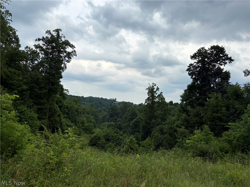38532 Township Road 13 Sardis OH 43946