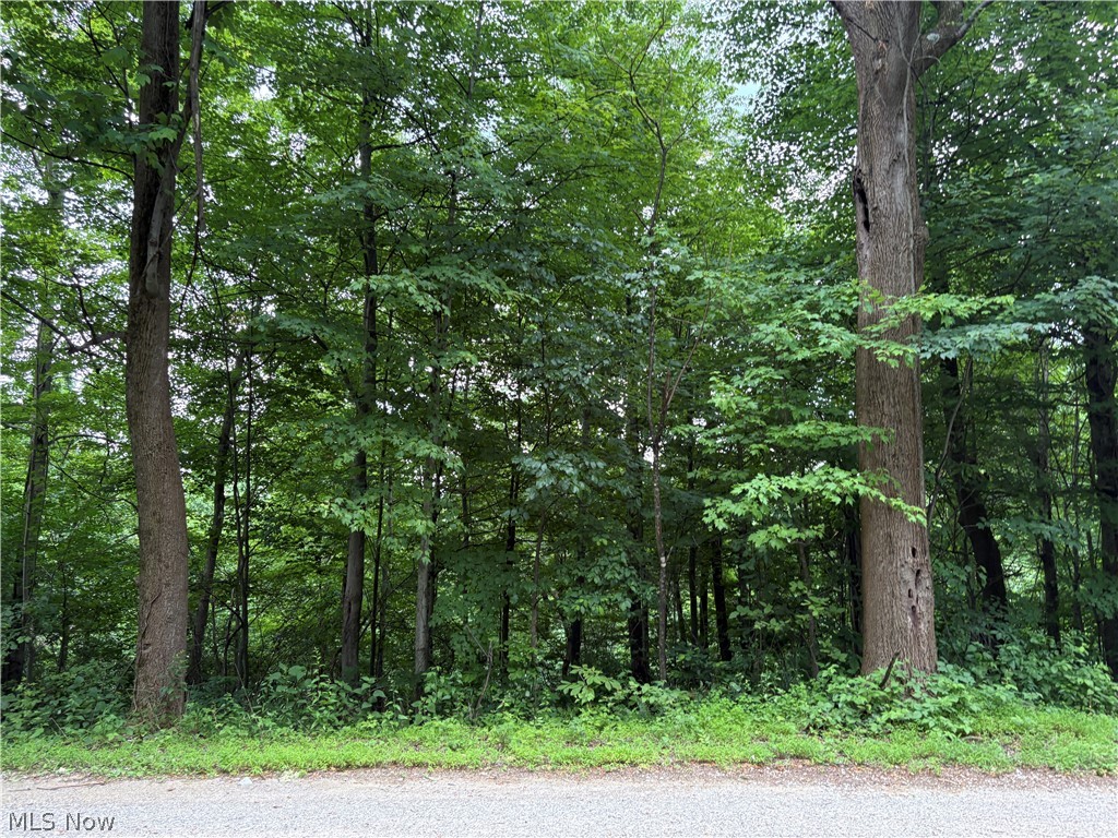 38532 Township Road 13 Sardis OH 43946
