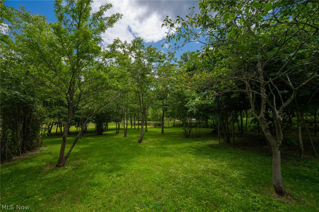 3226 State Route 3 Loudonville OH 44842