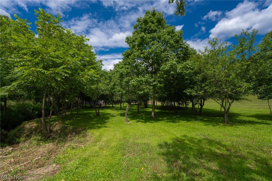 3226 State Route 3 Loudonville OH 44842