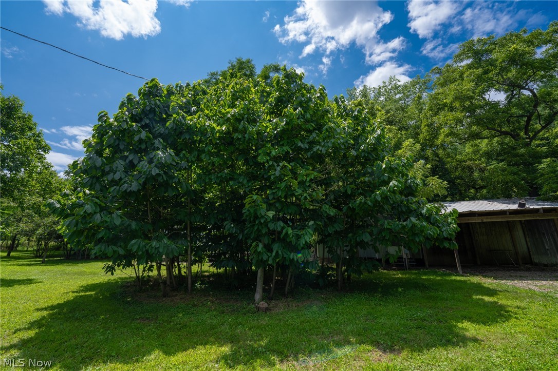 3226 State Route 3 Loudonville OH 44842
