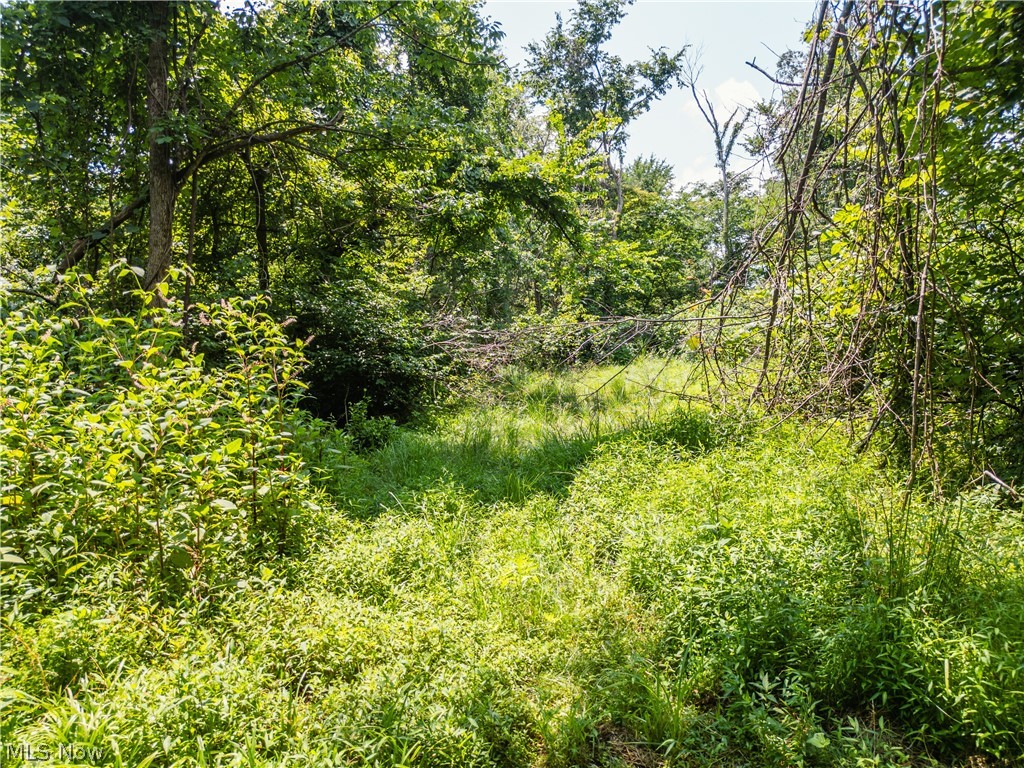 Lot 13 Township Road 51 Somerset OH 43783
