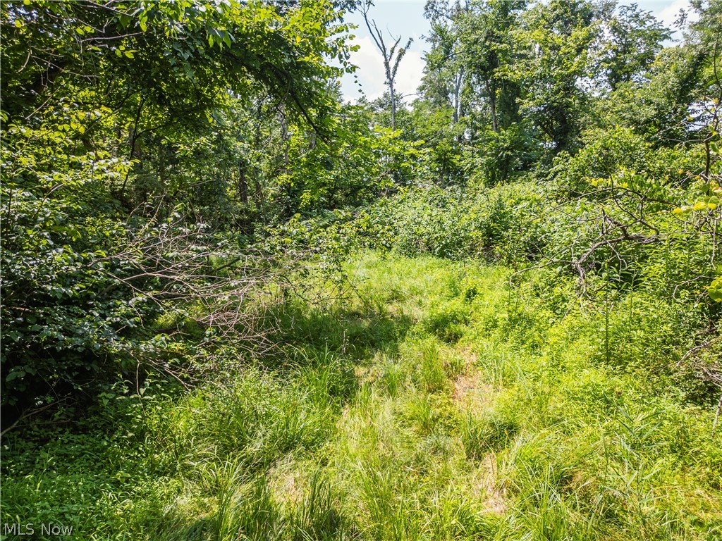 Lot 13 Township Road 51 Somerset OH 43783