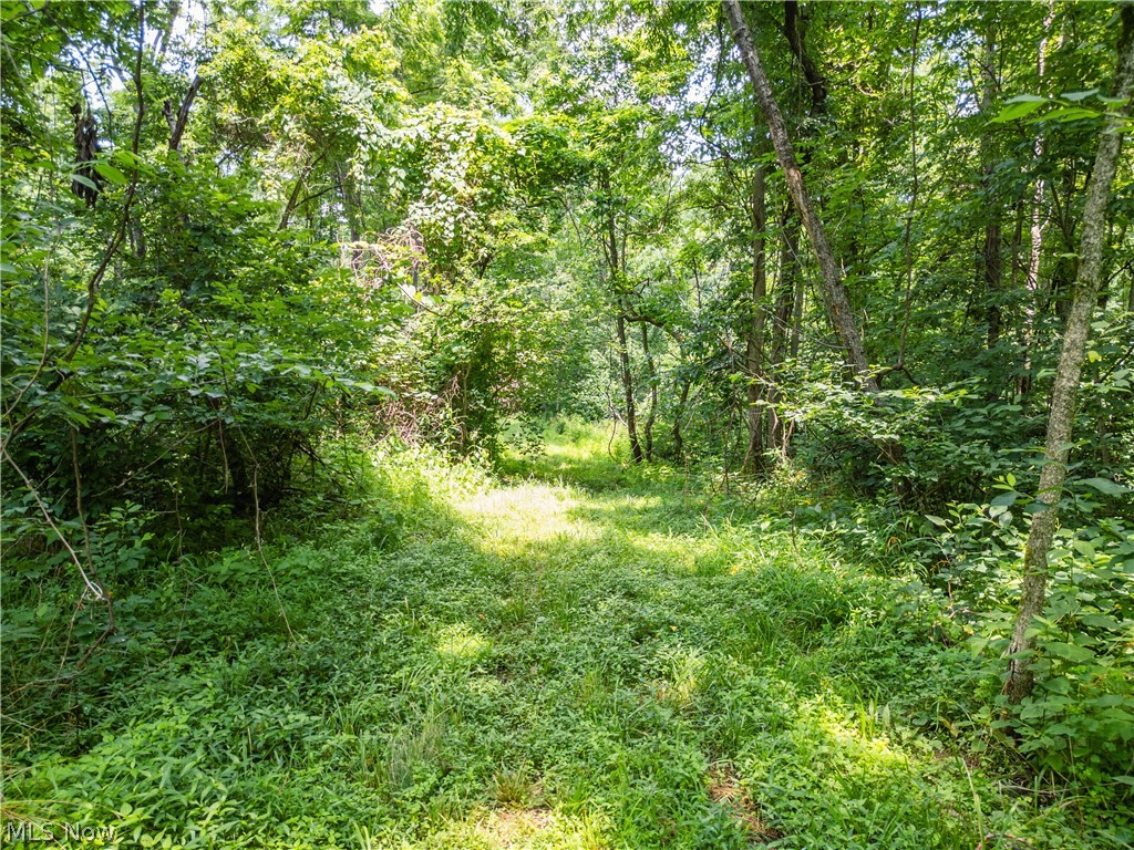 Lot 13 Township Road 51 Somerset OH 43783
