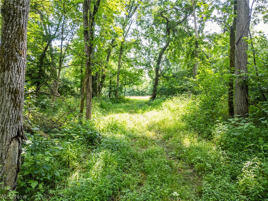 Lot 13 Township Road 51 Somerset OH 43783