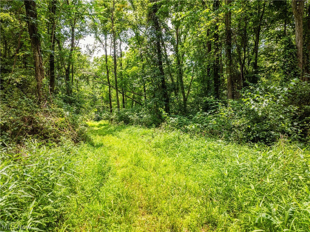 Lot 13 Township Road 51 Somerset OH 43783