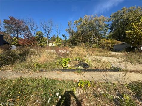 1339 Honodle Avenue Akron OH 44305