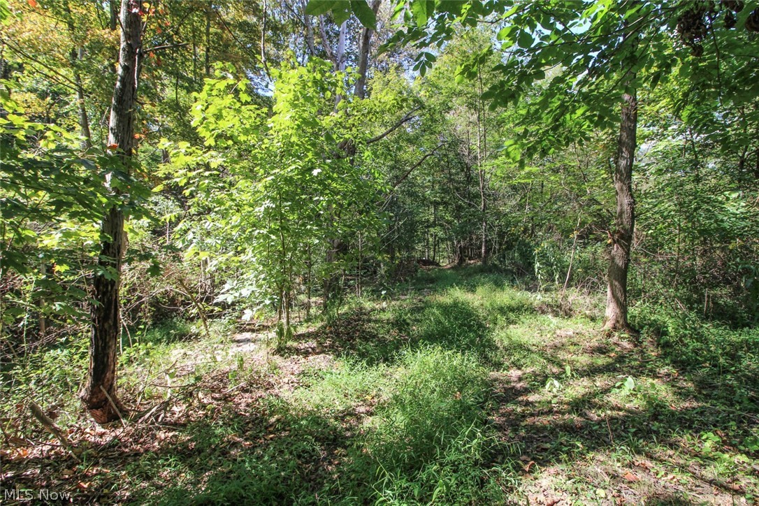 62319 Glencoe Road Belmont OH 43718