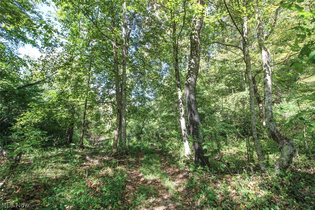 62319 Glencoe Road Belmont OH 43718