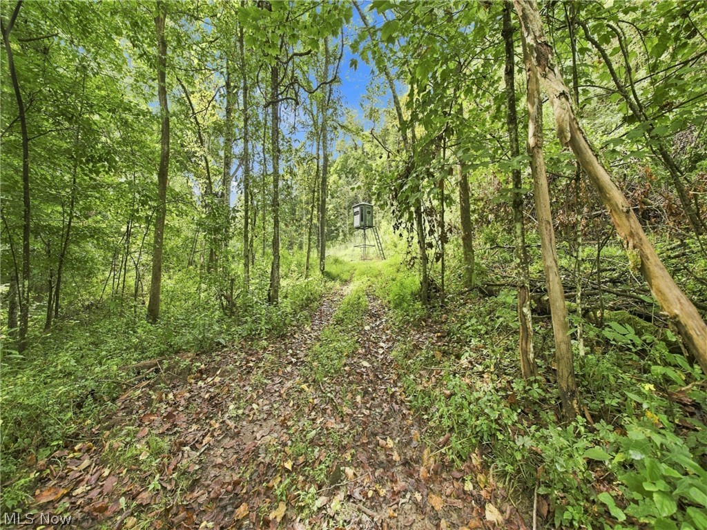 62319 Glencoe Road Belmont OH 43718