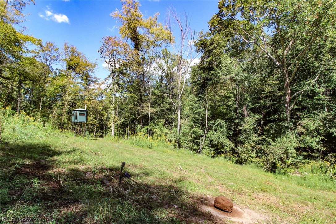 62319 Glencoe Road Belmont OH 43718
