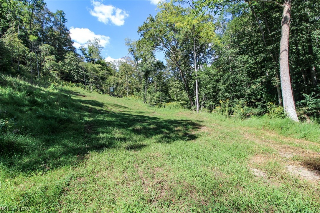 62319 Glencoe Road Belmont OH 43718